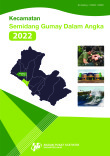 Kecamatan Semidang Gumay Dalam Angka 2022